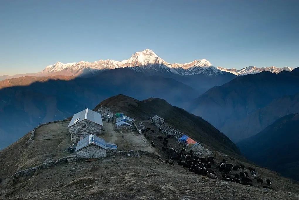 Khopra Danda (Ridge) Trek featured image