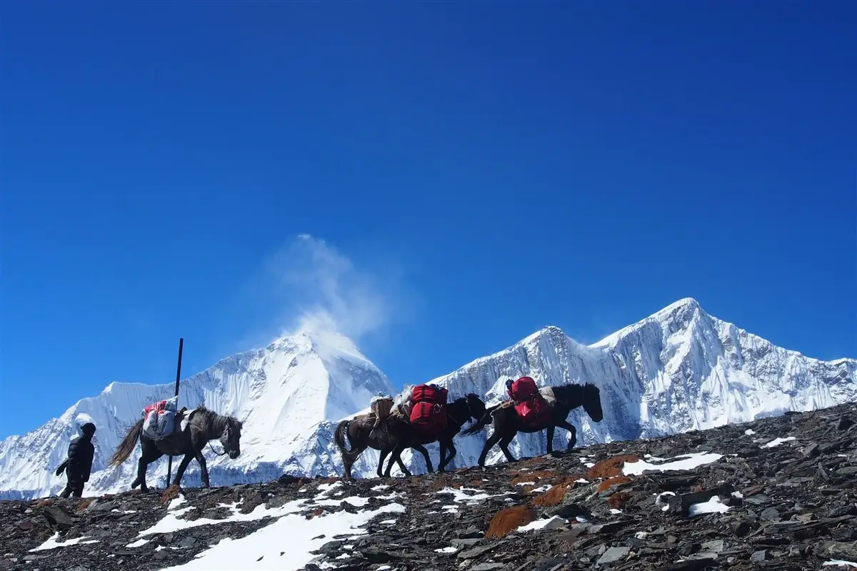 Dhaulagiri Circuit Trek featured image